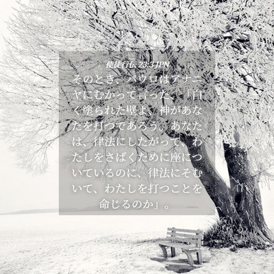 Picture 04 - 使徒行伝 23:3 JPN - そのとき、パウロはアナニヤにむか - Bible Verse Picture