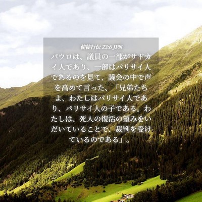 Picture 04 - 使徒行伝 23:6 JPN - パウロは、議員の一部がサドカイ人 - Bible Verse Picture