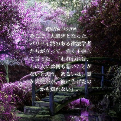 Picture 04 - 使徒行伝 23:9 JPN - そこで、大騒ぎとなった。パリサイ - Bible Verse Picture