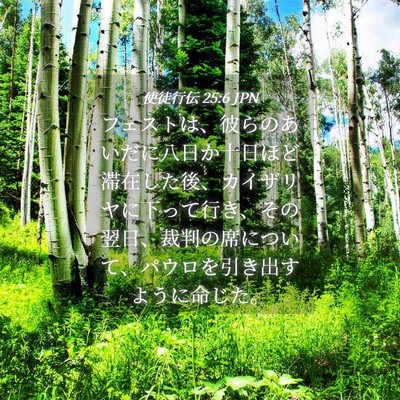 Picture 04 - 使徒行伝 25:6 JPN - フェストは、彼らのあいだに八日か - Bible Verse Picture