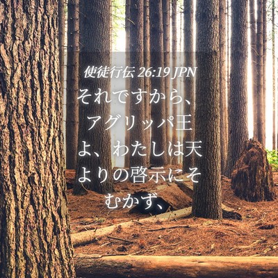 Picture 04 - 使徒行伝 26:19 JPN - それですから、アグリッパ王よ、わ - Bible Verse Picture