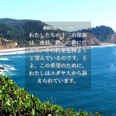 Picture 04 - 使徒行伝 26:7 JPN - わたしたちの十二の部族は、夜昼、 - Bible Verse Picture