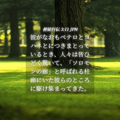 Picture 04 - 使徒行伝 3:11 JPN - 彼がなおもペテロとヨハネとにつき - Bible Verse Picture