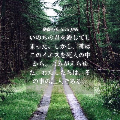 Picture 04 - 使徒行伝 3:15 JPN - いのちの君を殺してしまった。しか - Bible Verse Picture