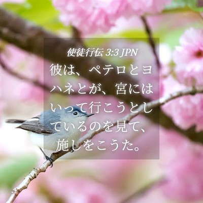 Picture 04 - 使徒行伝 3:3 JPN - 彼は、ペテロとヨハネとが、宮には - Bible Verse Picture