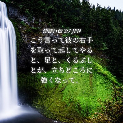 Picture 04 - 使徒行伝 3:7 JPN - こう言って彼の右手を取って起して - Bible Verse Picture