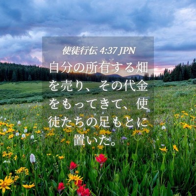 Picture 04 - 使徒行伝 4:37 JPN - 自分の所有する畑を売り、その代金 - Bible Verse Picture