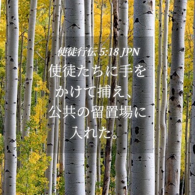 Picture 04 - 使徒行伝 5:18 JPN - 使徒たちに手をかけて捕え、公共の - Bible Verse Picture