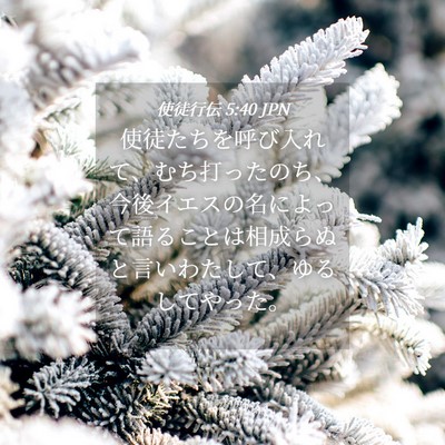 Picture 04 - 使徒行伝 5:40 JPN - 使徒たちを呼び入れて、むち打った - Bible Verse Picture