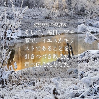 Picture 04 - 使徒行伝 5:42 JPN - そして、毎日、宮や家で、イエスが - Bible Verse Picture