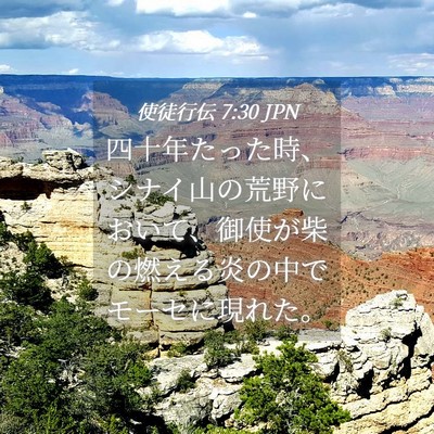 Picture 04 - 使徒行伝 7:30 JPN - 四十年たった時、シナイ山の荒野に - Bible Verse Picture