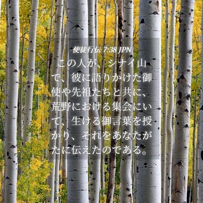 Picture 04 - 使徒行伝 7:38 JPN - この人が、シナイ山で、彼に語りか - Bible Verse Picture