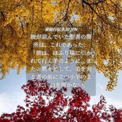 Picture 04 - 使徒行伝 8:32 JPN - 彼が読んでいた聖書の箇所は、これ - Bible Verse Picture