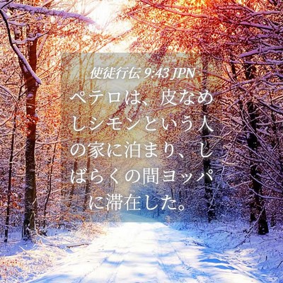 Picture 04 - 使徒行伝 9:43 JPN - ペテロは、皮なめしシモンという人 - Bible Verse Picture