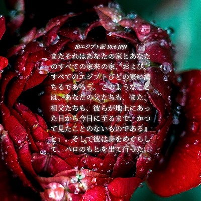 Picture 04 - 出エジプト記 10:6 JPN - またそれはあなたの家とあなたのす - Bible Verse Picture