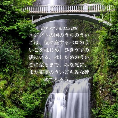Picture 04 - 出エジプト記 11:5 JPN - エジプトの国のうちのういごは、位 - Bible Verse Picture