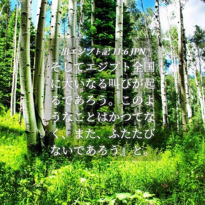 Picture 04 - 出エジプト記 11:6 JPN - そしてエジプト全国に大いなる叫び - Bible Verse Picture