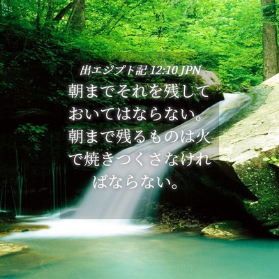 Picture 04 - 出エジプト記 12:10 JPN - 朝までそれを残しておいてはならな - Bible Verse Picture