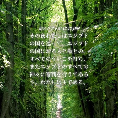 Picture 04 - 出エジプト記 12:12 JPN - その夜わたしはエジプトの国を巡っ - Bible Verse Picture
