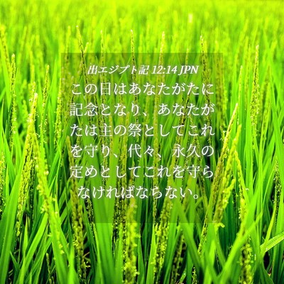 Picture 04 - 出エジプト記 12:14 JPN - この日はあなたがたに記念となり、 - Bible Verse Picture
