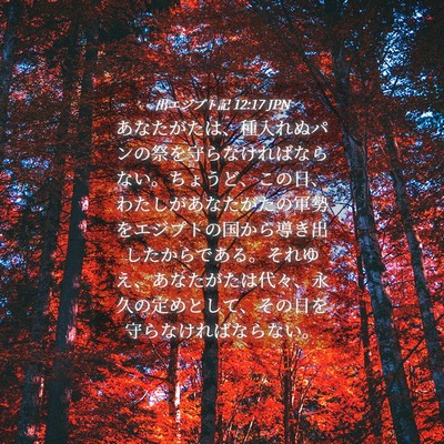 Picture 04 - 出エジプト記 12:17 JPN - あなたがたは、種入れぬパンの祭を - Bible Verse Picture