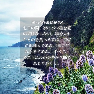 Picture 04 - 出エジプト記 12:19 JPN - 七日の間、家にパン種を置いてはな - Bible Verse Picture