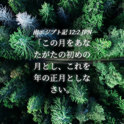 Picture 04 - 出エジプト記 12:2 JPN - 「この月をあなたがたの初めの月と - Bible Verse Picture