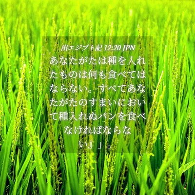 Picture 04 - 出エジプト記 12:20 JPN - あなたがたは種を入れたものは何も - Bible Verse Picture