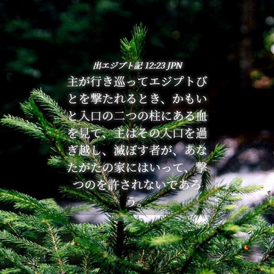 Picture 04 - 出エジプト記 12:23 JPN - 主が行き巡ってエジプトびとを撃た - Bible Verse Picture