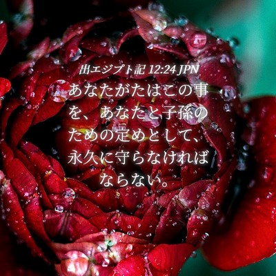 Picture 04 - 出エジプト記 12:24 JPN - あなたがたはこの事を、あなたと子 - Bible Verse Picture