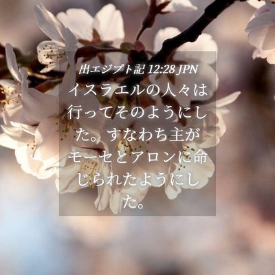 Picture 04 - 出エジプト記 12:28 JPN - イスラエルの人々は行ってそのよう - Bible Verse Picture