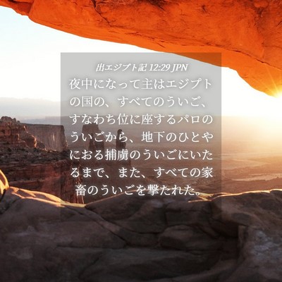 Picture 04 - 出エジプト記 12:29 JPN - 夜中になって主はエジプトの国の、 - Bible Verse Picture