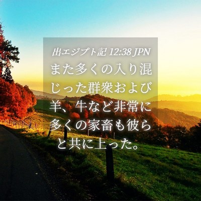 Picture 04 - 出エジプト記 12:38 JPN - また多くの入り混じった群衆および - Bible Verse Picture