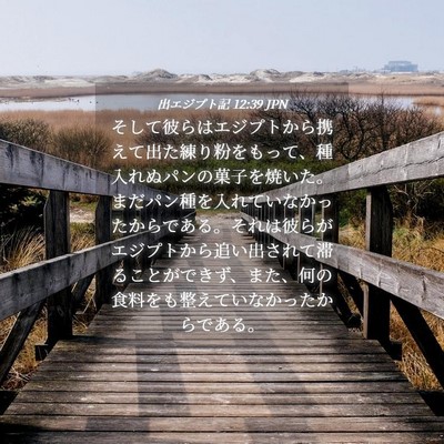 Picture 04 - 出エジプト記 12:39 JPN - そして彼らはエジプトから携えて出 - Bible Verse Picture