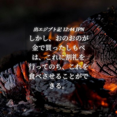 Picture 04 - 出エジプト記 12:44 JPN - しかし、おのおのが金で買ったしも - Bible Verse Picture