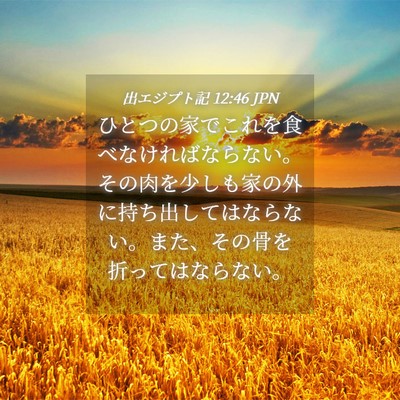 Picture 04 - 出エジプト記 12:46 JPN - ひとつの家でこれを食べなければな - Bible Verse Picture