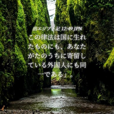 Picture 04 - 出エジプト記 12:49 JPN - この律法は国に生れたものにも、あ - Bible Verse Picture