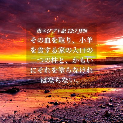Picture 04 - 出エジプト記 12:7 JPN - その血を取り、小羊を食する家の入 - Bible Verse Picture