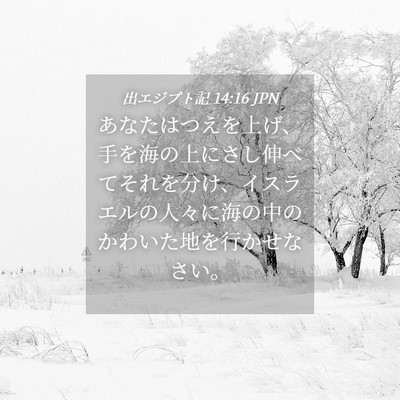 Picture 04 - 出エジプト記 14:16 JPN - あなたはつえを上げ、手を海の上に - Bible Verse Picture