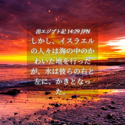 Picture 04 - 出エジプト記 14:29 JPN - しかし、イスラエルの人々は海の中 - Bible Verse Picture