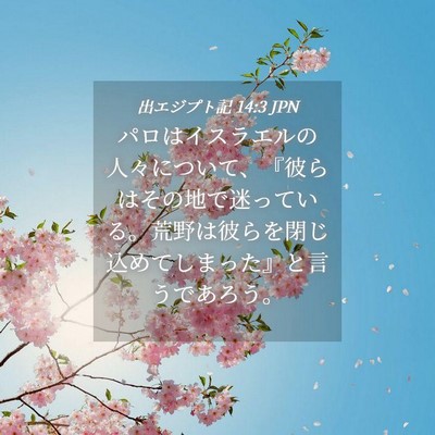 Picture 04 - 出エジプト記 14:3 JPN - パロはイスラエルの人々について、 - Bible Verse Picture