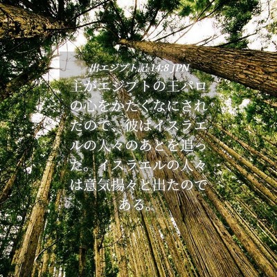 Picture 04 - 出エジプト記 14:8 JPN - 主がエジプトの王パロの心をかたく - Bible Verse Picture