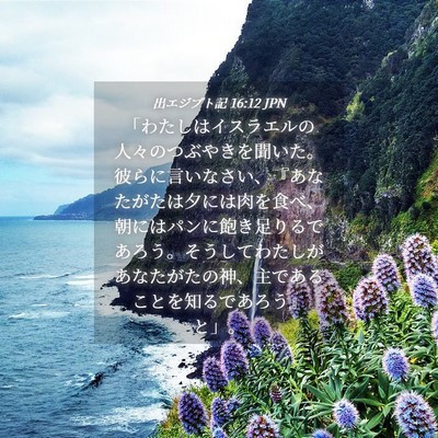Picture 04 - 出エジプト記 16:12 JPN - 「わたしはイスラエルの人々のつぶ - Bible Verse Picture