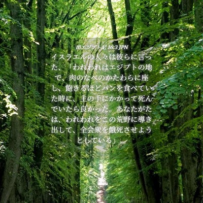 Picture 04 - 出エジプト記 16:3 JPN - イスラエルの人々は彼らに言った、 - Bible Verse Picture