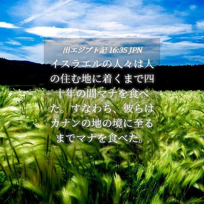 Picture 04 - 出エジプト記 16:35 JPN - イスラエルの人々は人の住む地に着 - Bible Verse Picture