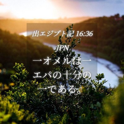 Picture 04 - 出エジプト記 16:36 JPN - 一オメルは一エパの十分の一である - Bible Verse Picture