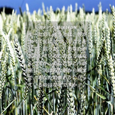 Picture 04 - 出エジプト記 18:14 JPN - モーセのしゅうとは、彼がすべて民 - Bible Verse Picture