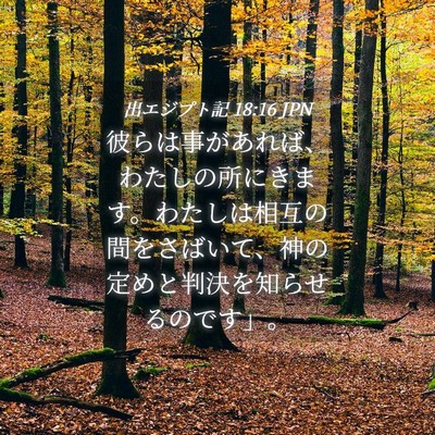 Picture 04 - 出エジプト記 18:16 JPN - 彼らは事があれば、わたしの所にき - Bible Verse Picture