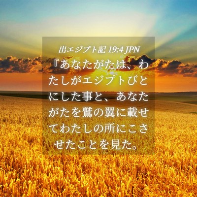 Picture 04 - 出エジプト記 19:4 JPN - 『あなたがたは、わたしがエジプト - Bible Verse Picture
