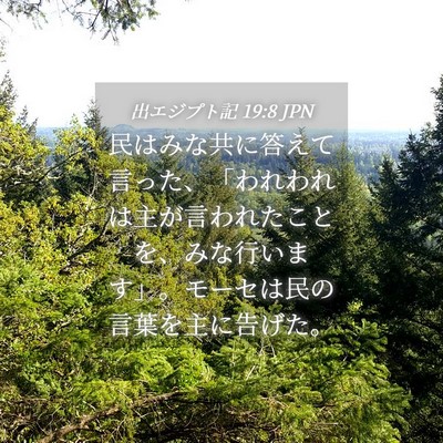 Picture 04 - 出エジプト記 19:8 JPN - 民はみな共に答えて言った、「われ - Bible Verse Picture